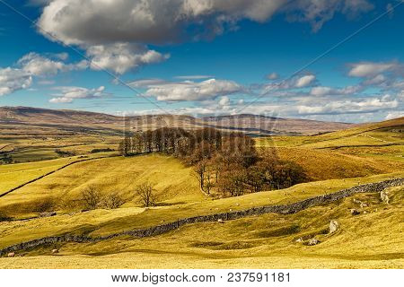 Typical Yorkshire Dales Scenery With Rolling Hills And Farmland, Near Horton-in-ribblesdale, North Y