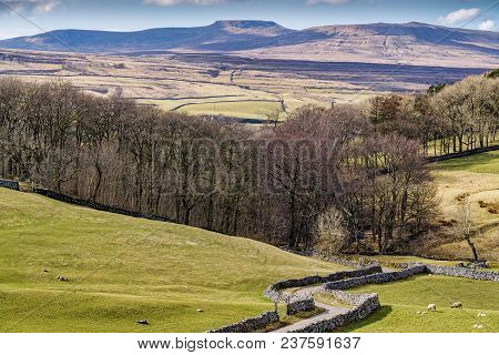 Typical Yorkshire Dales Scenery With Rolling Hills And Farmland Around A Winding Country Lane, Near 