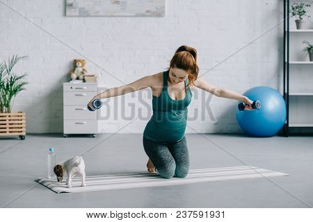 Beautiful Pregnant Woman Training With Dumbbells And Looking At Puppy On Yoga Mat In Living Room