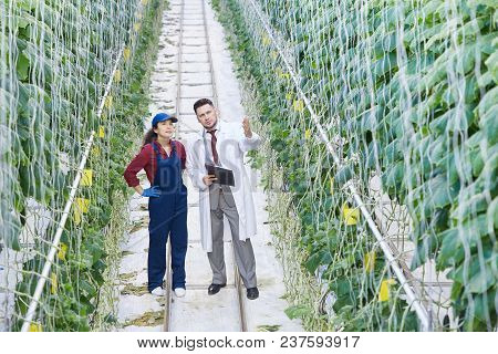 Full Length Portrait Of Chief Supervisor Talking To Female Worker While Checking Plants In Greenhous