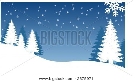 Weihnachtsbäume