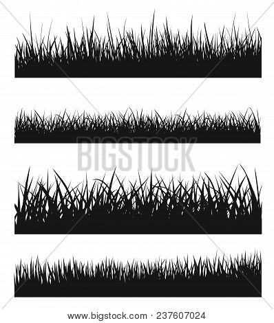Vector Set Of Black Grass Silhouettes - Stock Vector.