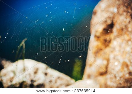 The Spider Web Cobweb Closeup Background. The Web Over Blue Water Between The Stones