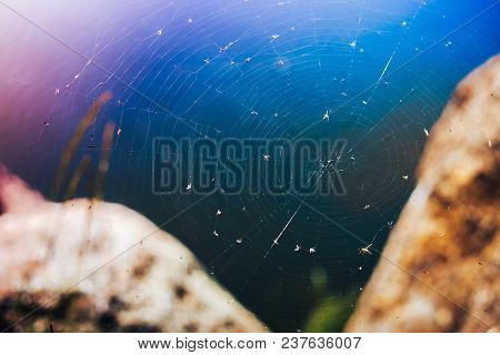 The Spider Web Cobweb Closeup Background. The Web Over Blue Water Between The Stones