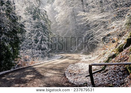 The Freiburger Wasserschlössle Is Located In The Sternwald Above The District Wiehre. It Is A Water 
