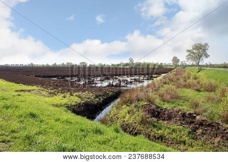 Bog Landscape With Peat Extraction Under A Blue Sky In Spring, Venner Moor, Lower Saxony, Germany, C