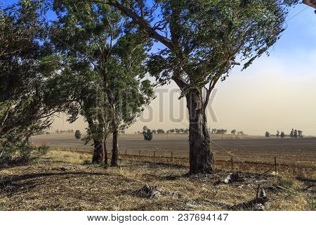 Dust Storm In The Far Distance Approaching Over The Agricultural Fields Between Wagga Wagga And Temo