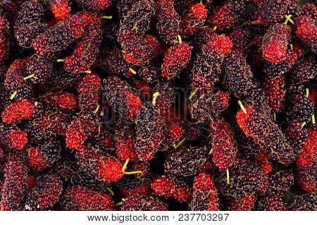 Ripe Mulberry (morus)  Is Black And Red  Fruit On White Background Healthy Mulberry Fruit Food Isola