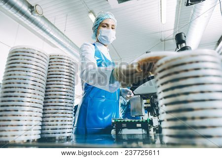 Fish Seafood Factory Industry Production Processing Equipment