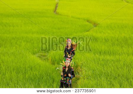 Hmong Girl With Traditional Dress With Basket Of Agricultural Crops Walking In The Forest,happy Hmon
