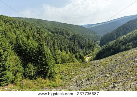 Daylight Landscape View To Green Mountains Full Of Trees