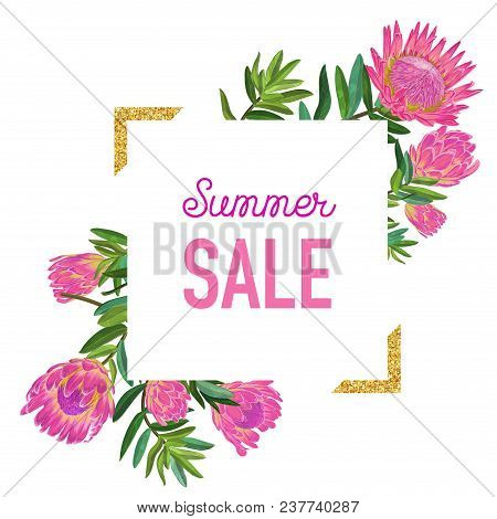 Summer Sale Floral Banner With Golden Frame. Seasonal Discount Advertising With Pink Protea Flowers.
