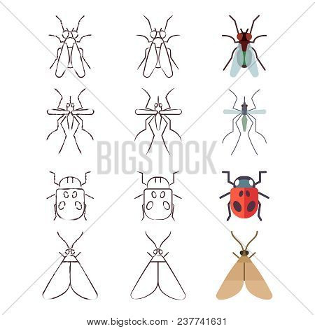 Flat, Line And Skech Icons Of Insects Set. Vector Illustration