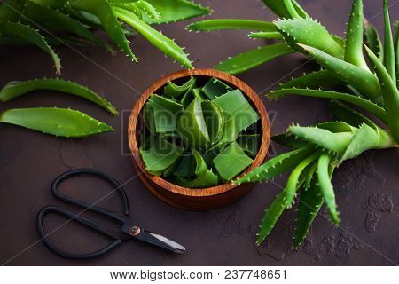 aloe vera on dark background - alternative medicine