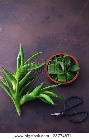 aloe vera on dark background - alternative medicine