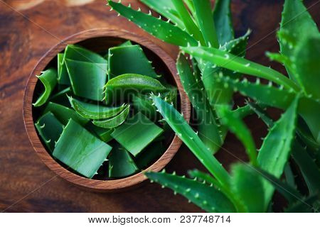 aloe vera on dark background - alternative medicine
