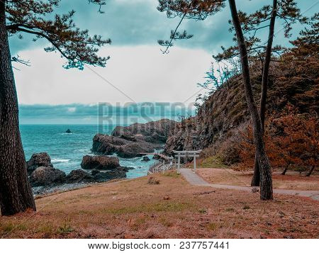 Paradisiac Autumn In Japan And Great Ocean View