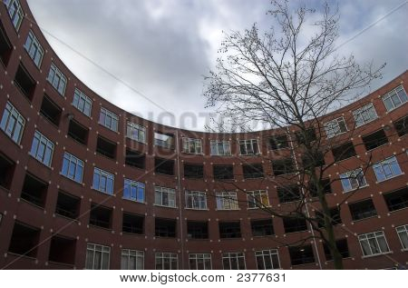 Clioplein
