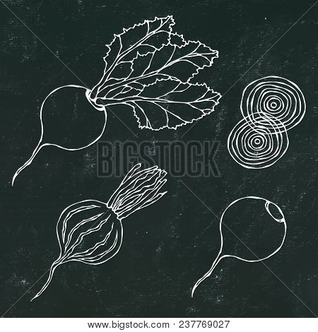 Black Chalk Board. Set Of Beet - Beetroot With Top Leaves And Half Of Beet, Beet Without Leaves, Cut