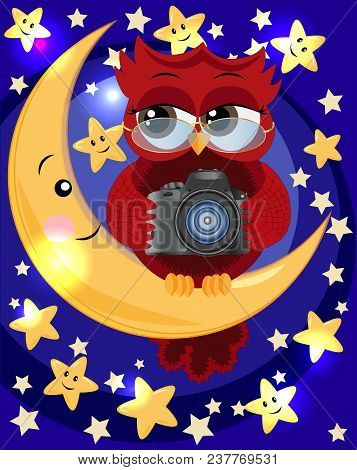 A Red Sweet Owl Wearing Spectacles And With A Camera Sits On The Moon In The Middle Of The Night And