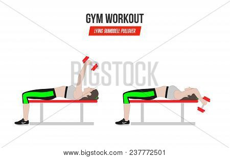 Lying Dumbbell Pullover. Sport Exercises. Exercises In A Gym. Illustration Of An Active Lifestyle. V