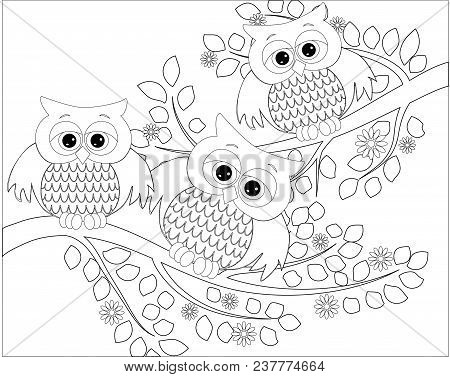Coloring Book For Adult And Older Children. Coloring Page With Cute Owl And Floral Frame. Outline Dr