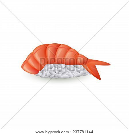 Sushi Ebi Nigiri With Fresh Shrimp Isolated On White Background - Realistic Vector Illustration Of P