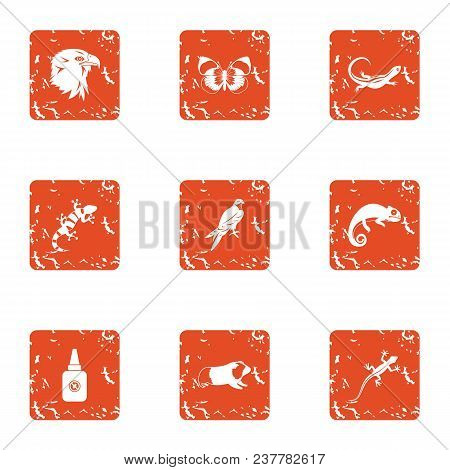 Small Animal Icons Set. Grunge Set Of 9 Small Animal Vector Icons For Web Isolated On White Backgrou