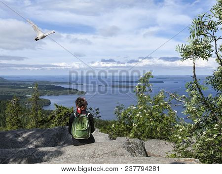 Ukko-koli Hill, Finland On July 05. View Of Lake Pielinen From A Rock On July 05, 2017 In Ukko-koli 