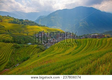 The Longsheng Rice Terraces(Dragon's Backbone) also known as Longji Rice Terraces are located in Longsheng County, about 100 kilometres (62 mi) from Guilin, Guangxi, China