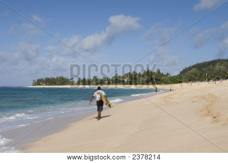 Surfer, Sunset Beach, Oahu, Hawaii