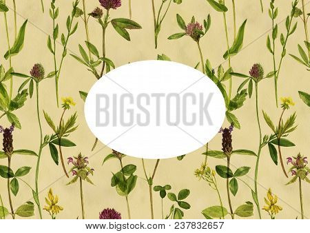 Vintage Template With Watercolor Drawing Palnts And Flowers, Hand Drawn Illustration