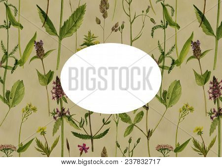 Vintage Template With Watercolor Drawing Palnts And Flowers, Hand Drawn Illustration