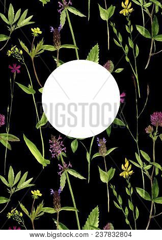 Black Template With Watercolor Drawing Palnts And Flowers, Hand Drawn Illustration