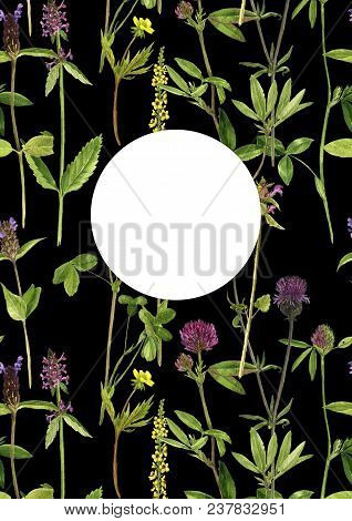 Black Template With Watercolor Drawing Palnts And Flowers, Hand Drawn Illustration