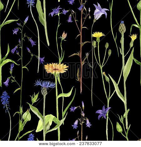 Seamless Pattern With Watercolor Drawing Palnts And Flowers At Black Background, Hand Drawn Illustra