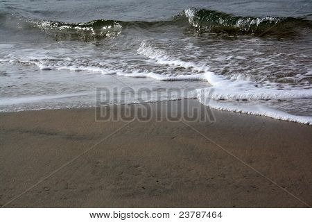 Forster