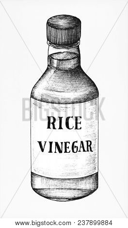 Hand drawn komezu rice vinegar
