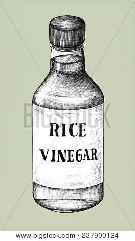 Hand drawn komezu rice vinegar