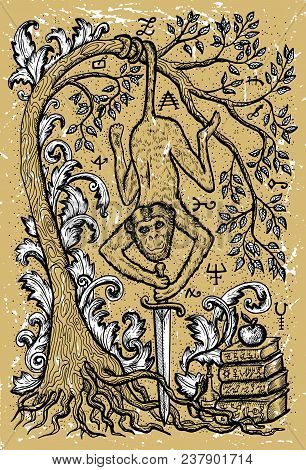 Monkey Symbol With Sword, Book, Baroque Decorated Tree And Mystic Signs On Old Texture Background. F