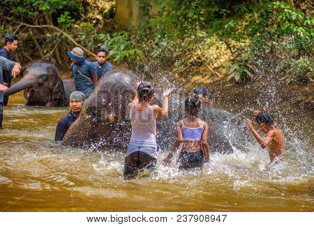 Kuala Gandah, Malaysia - April 8, 2018 : Young Malaysians Bath Baby Elephants In The Sungai Teris Ri