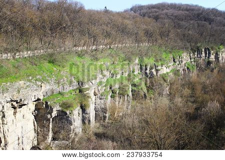 Stone Canyon Overgrown With Trees And Vegetation
