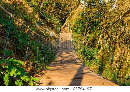 Low-angle View Of The Rope Bridge In The Yew And Box-tree Grove In Sunny Autumn Day, Sochi, Russia