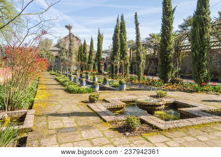 Pretty Little Flower Garden With Fountains, Fountains, Fir, Buies, Flower In A Wildlife Park Of Belg