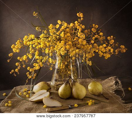 Beautiful Still Life With Mimosa And Pears.