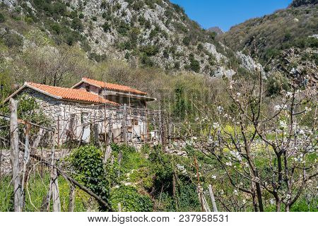 Small Village Homes In A Mountain Valley In Montenegro In Summer