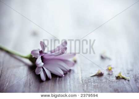 Sfondo romantico