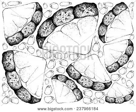 Fresh Fruits, Illustration Wall-paper Background Of Hand Drawn Sketch Delicious Fresh Yellow Pineapp