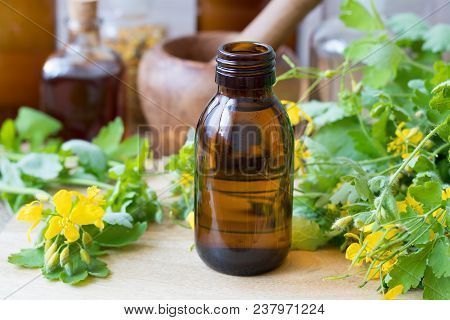 A Bottle Of Tetterwort Tincture With Fresh Chelidonium Majus Plant