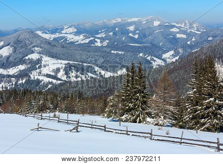 Picturesque Winter Sunny Day Carpathian Mountain View From Skupova Mountain Slope, Ukraine. View To 